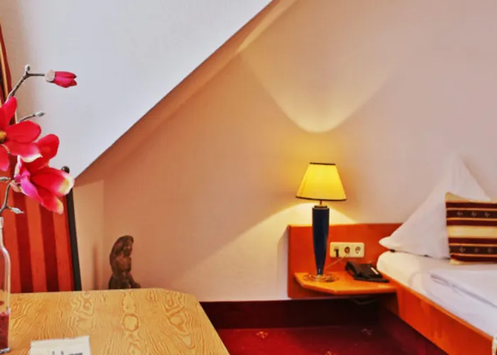 Neckarlux 3* Heidelberg