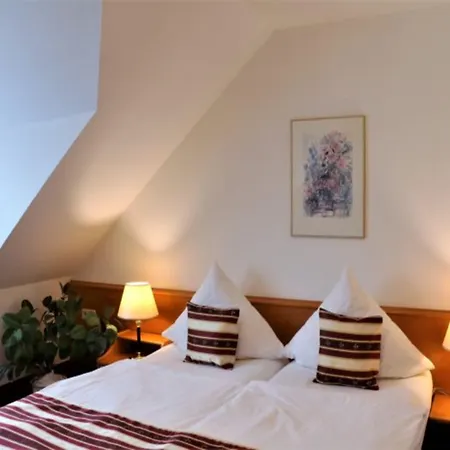 Neckarlux Hotel 3*
