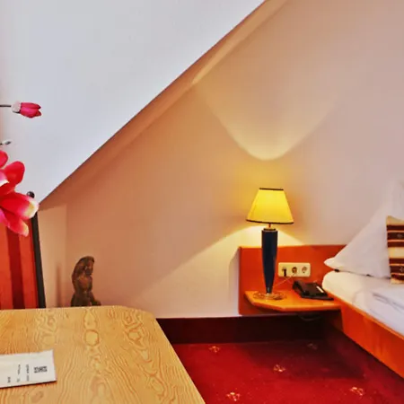 Neckarlux 3* Heidelberg