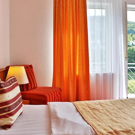 Szálloda Neckarlux Heidelberg