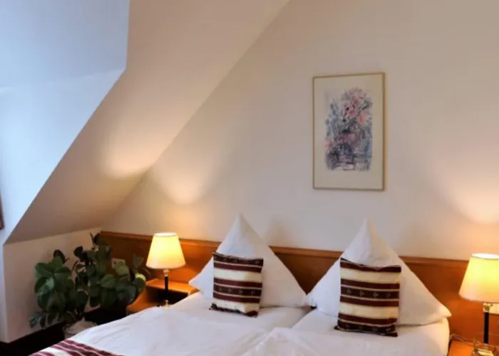 Neckarlux Hotel 3*